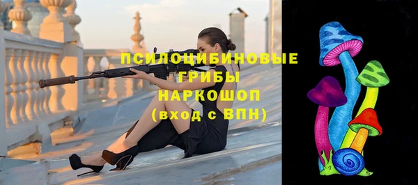 крисы Лабытнанги