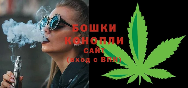 крисы Лабытнанги