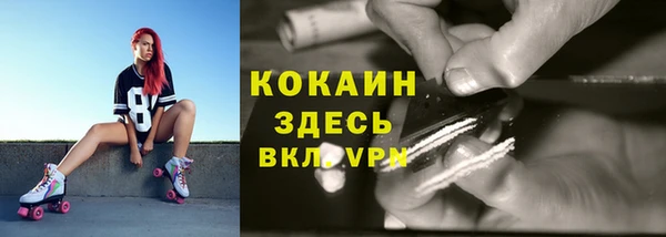 дмт Ладушкин