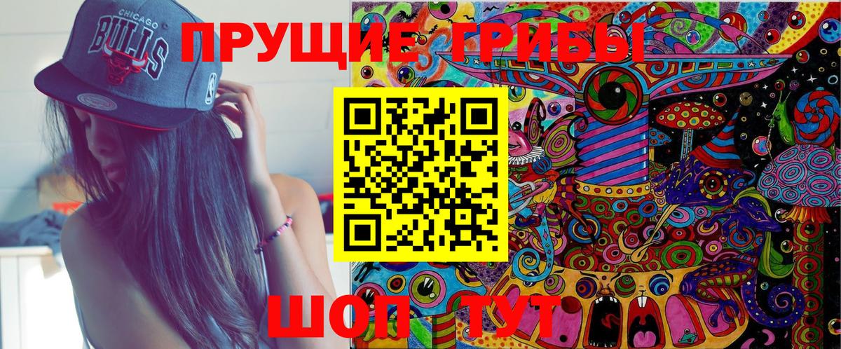 Галлюциногенные грибы Psilocybe Мелеуз