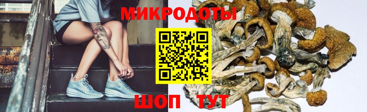 Псилоцибиновые грибы прущие грибы  Мелеуз 